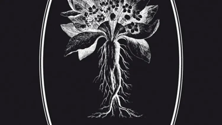 Deadly Nightshade