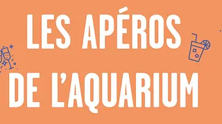 L'Apéro du jeudi