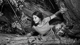 Catherine Ringer