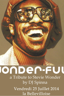 Wonder-Full : a Tribute to Stevie Wonder by DJ Spinna