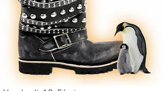 Dancing Shoes // Jusque 4h !