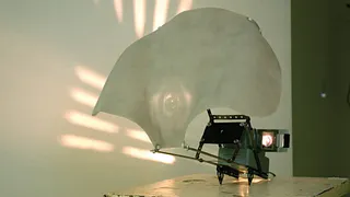 Expo Zaven Pare - Mecatronic