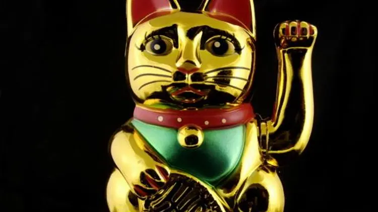 Cérémonie CHAT BEAT d'Or 2018 / Chatpéro #1