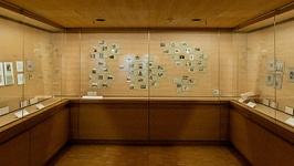 Sciences coloniales, photographies de l’Institut Français d’Afrique Noire (1936-1966)