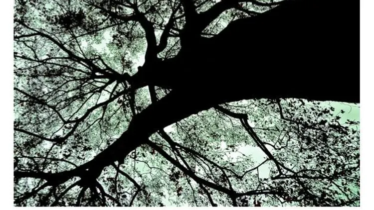 DEEPLY ROOTED W/DJ DEEP - TERENCE FIXMER - LEIF