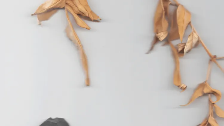 JAMIE WOON + FAROE