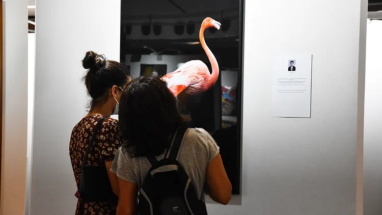 ART SHOPPING au Carrousel du Louvre