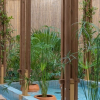 Bloom Garden