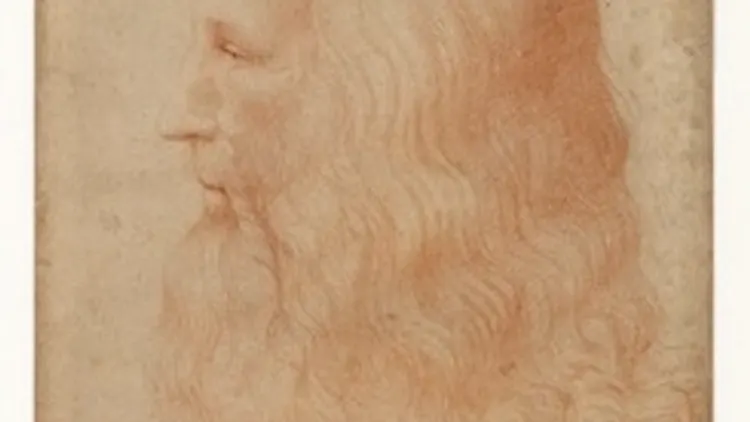 Exposition Léonard de Vinci, Il Genio