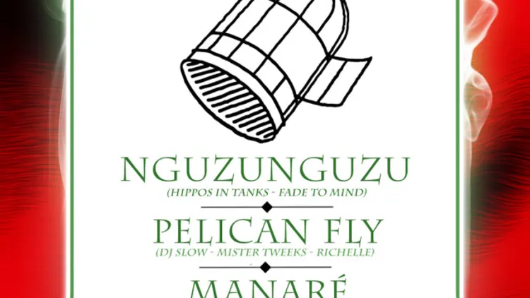 Pelican Fly x 55DSL