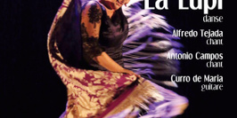 Compagnie LA LUPI "Retorno" Flamenco à Levallois