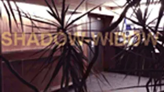 Expo Shadow-Widow Avec Camille Cros Et Anthea Lubat