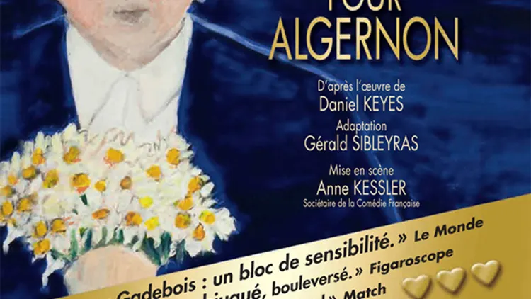 Des Fleurs pour Algernon, reprise au Théâtre Hébertot
