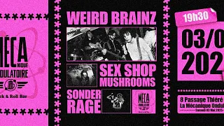 WEIRD BRAINZ ✦ SEX SHOP MUSHROOMS ✦ SONDER RAGE
