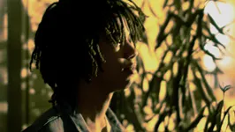 Zuluzulu 4