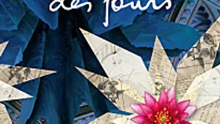 L'Ecume des jours, du roman au film