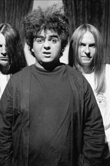 The Melvins en concert