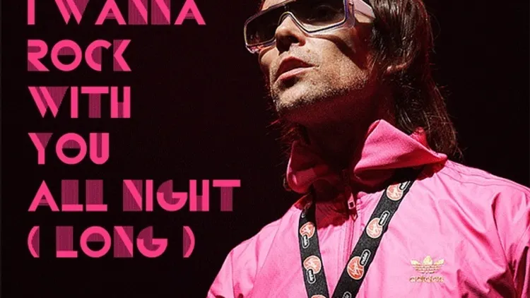 I Wanna Rock With You All Night (Long)