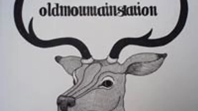 Old Mountain Station + In Bear Suits