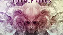 Tribal fairies