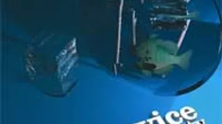 Selfservice - The Open Bar Party