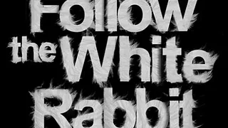 JETT & Follow The White Rabbit @ Barramundi