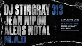 DJ Stingray 313