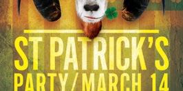St Patrick’s day 2015 in Paris