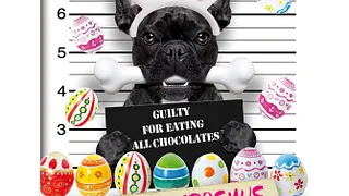 EASTER PARTY