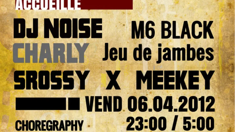 PARTY A LA MAISON DE LUXE AVEC DJ NOISE