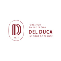 Fondation Simone et Cino Del Duca