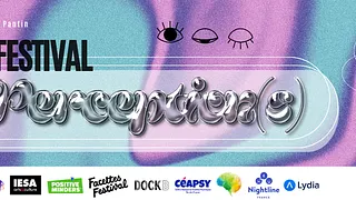 Festival Perception(s)