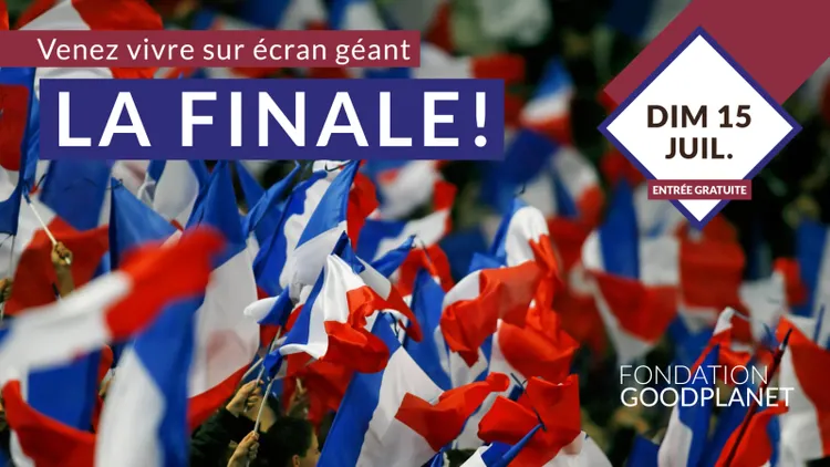 Foot, Brunch Et Concert En Plein Air