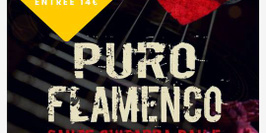 Puro Flamenco + Voleurs de Groove