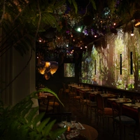 Jungle Palace