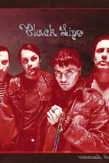 Black Lips en concert