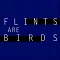 Flints Are Birds F