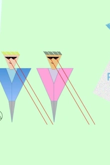 Pachanga Boys au Showcase all night long