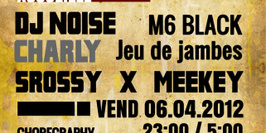 PARTY A LA MAISON DE LUXE AVEC DJ NOISE