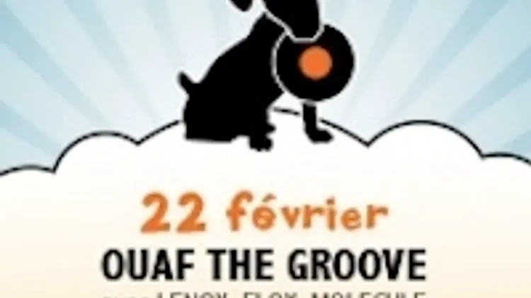 OUAF THE GROOVE AVEC FLOX + LENOX + MOLECULE