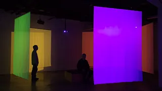 "Wetland Project" : visites guidées au Centre culturel canadien
