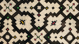 Visions chamaniques - Arts de l'Ayahuasca en Amazonie péruvienne