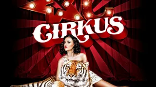 CIRKUS -  La clownerie du samedi soir