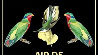 Air de Famille