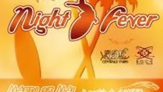 Holiday Night Fever