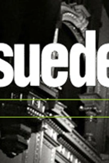 Suede en concert