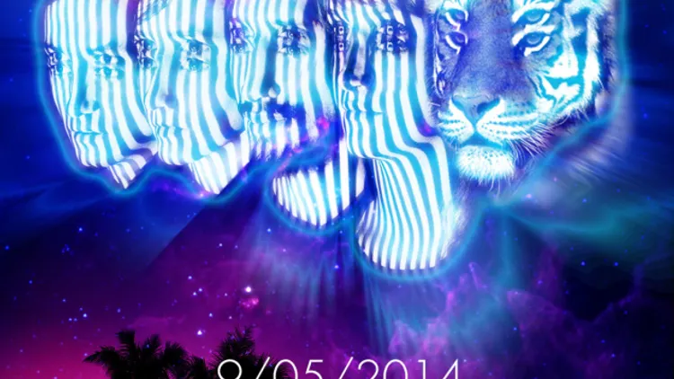 Concert Les Tigres du Futur & Calypso