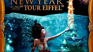 AQUARIUM'S NEW YEAR 'TOUR EIFFEL'