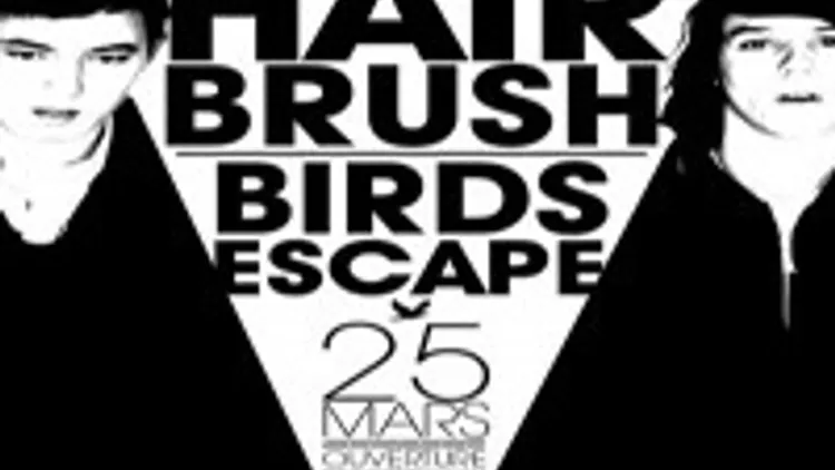 Hair Brush + Birds Escape