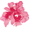 Paravoir R